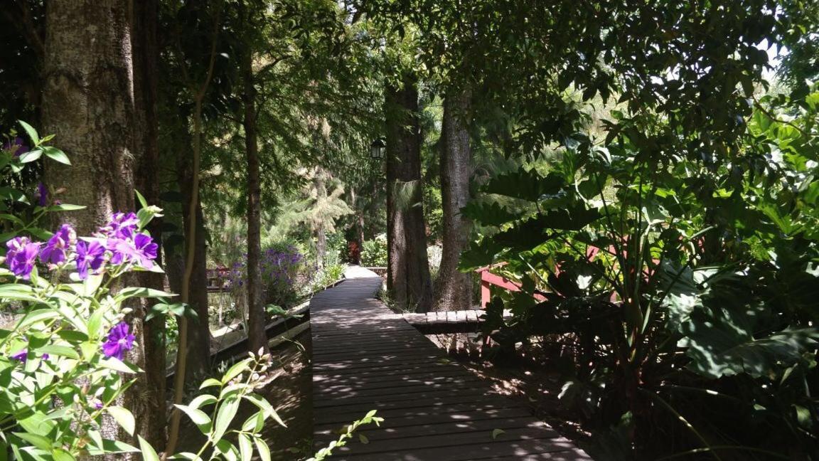 Inn Victoria Tigre